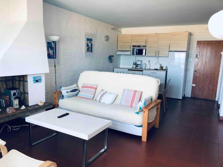 Sur La Plage, Vue Sur Mer, Spacieux T3 Au Calme Saint-Cyprien  Ngoại thất bức ảnh