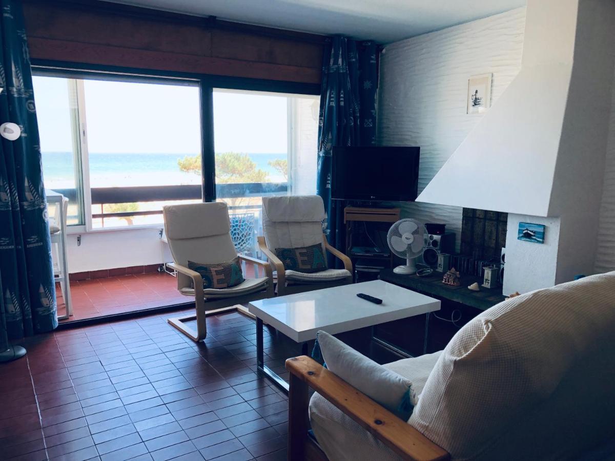 Sur La Plage, Vue Sur Mer, Spacieux T3 Au Calme Saint-Cyprien  Ngoại thất bức ảnh